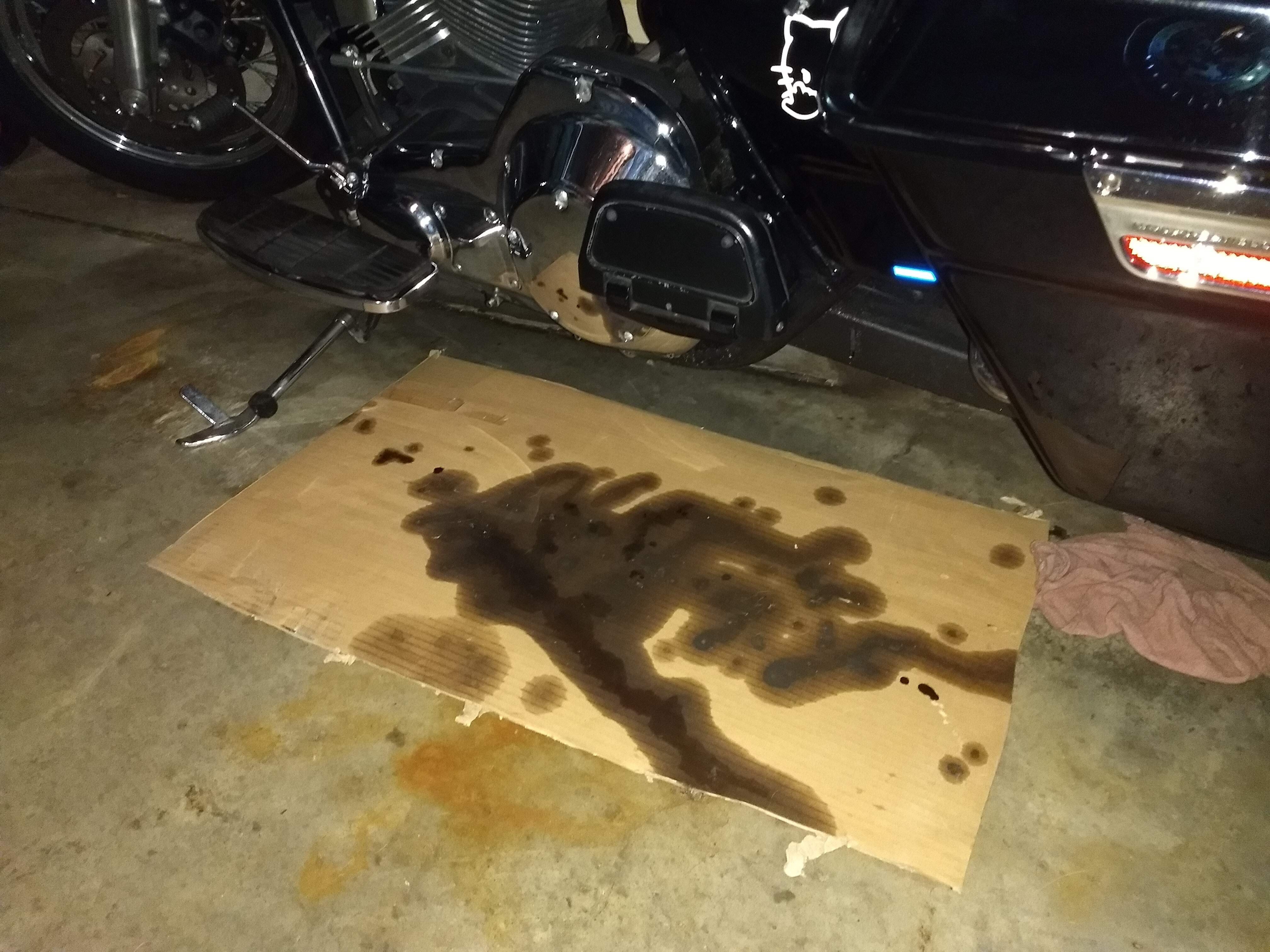 How Much Oil Should Leak Out My Bike? Are Oil Leaks Normal? Do BMW