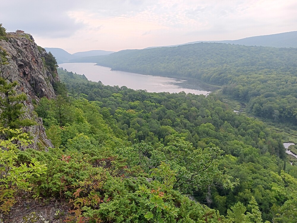 20240819_084103.thumb.jpg.b1d34859eb8b9d97ef765246e87a30dd.jpg