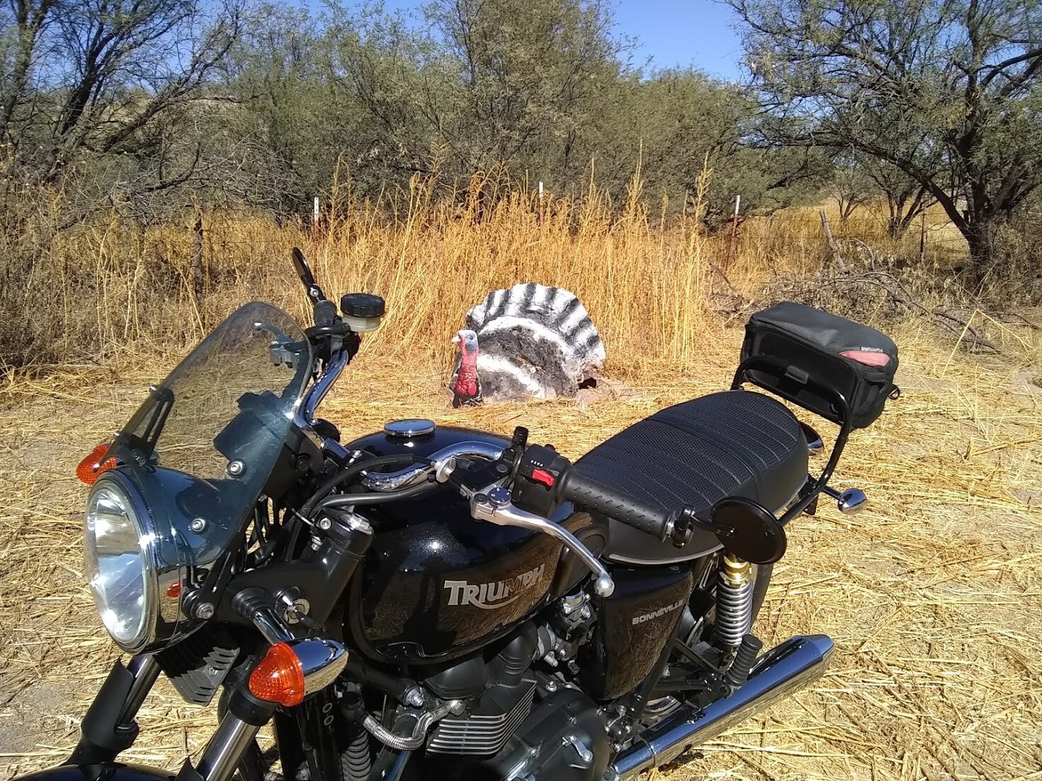 Happy Thanksgiving - Riders Discuss Other Topics - BMWSportTouring