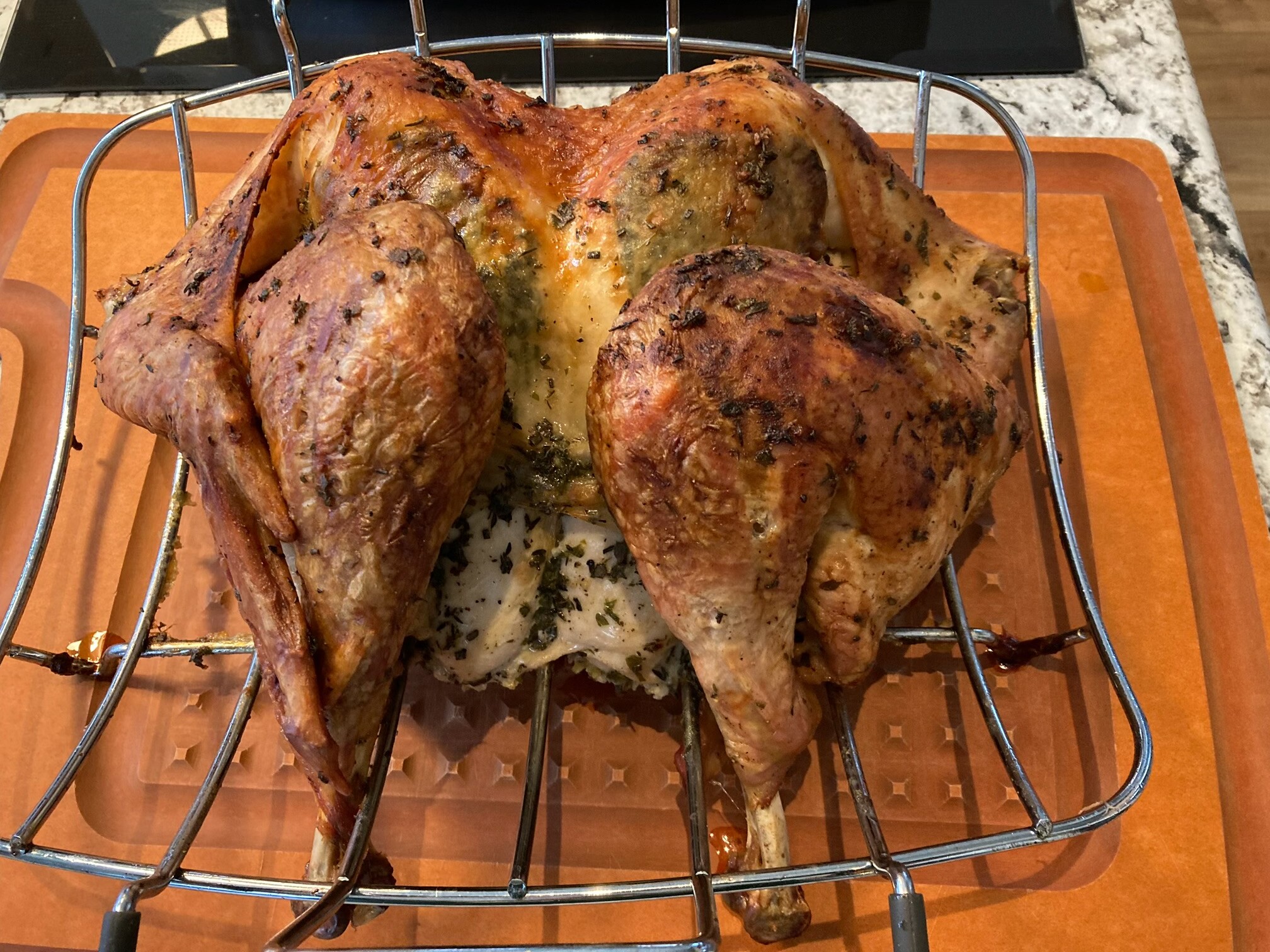 Happy Thanksgiving - Riders Discuss Other Topics - BMWSportTouring